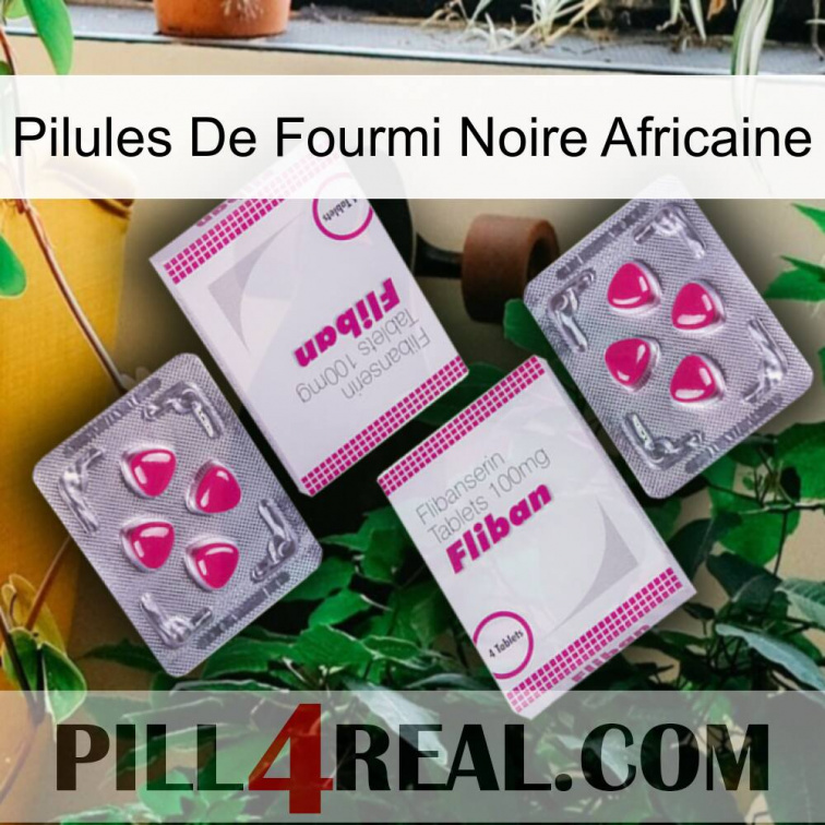 African Black Ant Pills 33